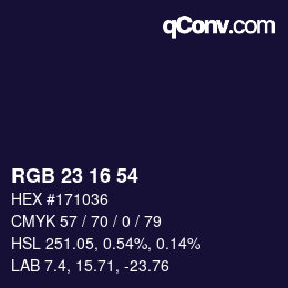 Color code: RGB 23 16 54 | qconv.com