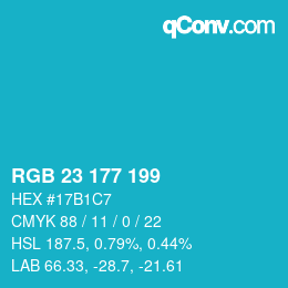 Color code: RGB 23 177 199 | qconv.com