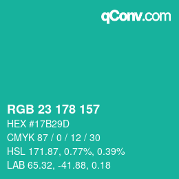 Color code: RGB 23 178 157 | qconv.com