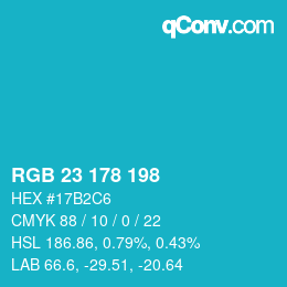 Color code: RGB 23 178 198 | qconv.com