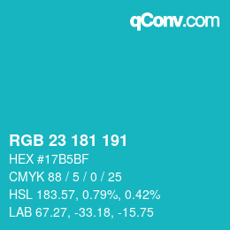 Color code: RGB 23 181 191 | qconv.com