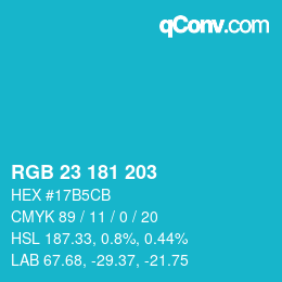 Color code: RGB 23 181 203 | qconv.com