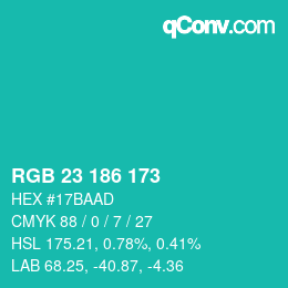 Color code: RGB 23 186 173 | qconv.com