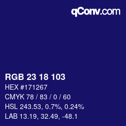 Color code: RGB 23 18 103 | qconv.com