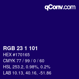 Color code: RGB 23 1 101 | qconv.com