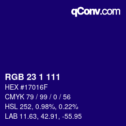 Color code: RGB 23 1 111 | qconv.com