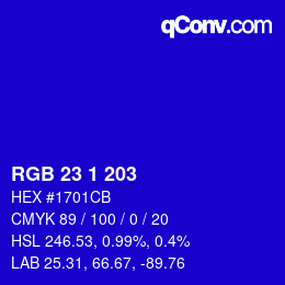 Color code: RGB 23 1 203 | qconv.com