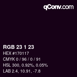 カラーコード: RGB 23 1 23 | qconv.com