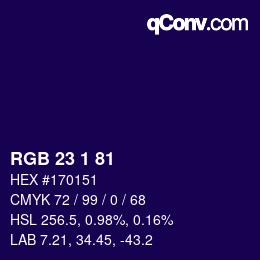 颜色代码: RGB 23 1 81 | qconv.com