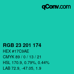 颜色代码: RGB 23 201 174 | qconv.com
