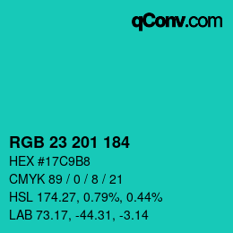 Color code: RGB 23 201 184 | qconv.com