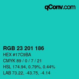 Color code: RGB 23 201 186 | qconv.com
