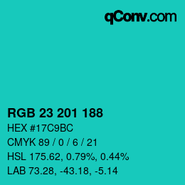 Color code: RGB 23 201 188 | qconv.com