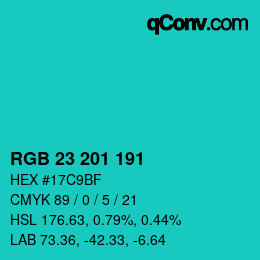 Color code: RGB 23 201 191 | qconv.com