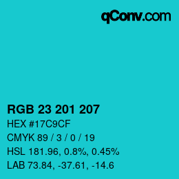Color code: RGB 23 201 207 | qconv.com