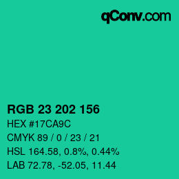 颜色代码: RGB 23 202 156 | qconv.com
