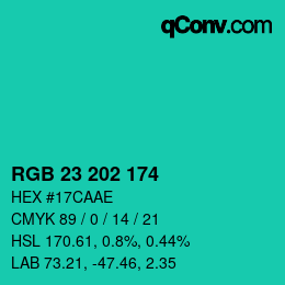 颜色代码: RGB 23 202 174 | qconv.com