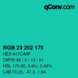 颜色代码: RGB 23 202 175 | qconv.com