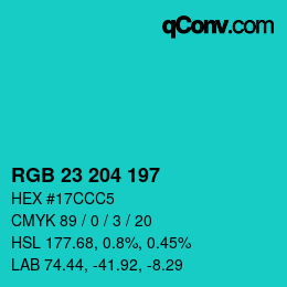 Color code: RGB 23 204 197 | qconv.com