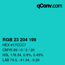 Color code: RGB 23 204 199 | qconv.com