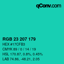 Color code: RGB 23 207 179 | qconv.com