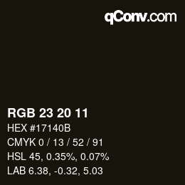 Color code: RGB 23 20 11 | qconv.com