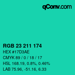 Color code: RGB 23 211 174 | qconv.com