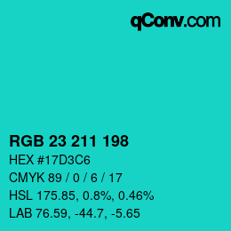 Color code: RGB 23 211 198 | qconv.com