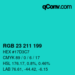 Color code: RGB 23 211 199 | qconv.com