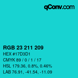 Color code: RGB 23 211 209 | qconv.com