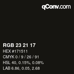 Color code: RGB 23 21 17 | qconv.com