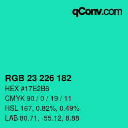 Color code: RGB 23 226 182 | qconv.com