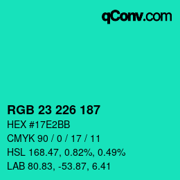 Color code: RGB 23 226 187 | qconv.com