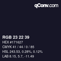 Color code: RGB 23 22 39 | qconv.com