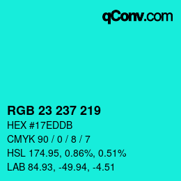 Color code: RGB 23 237 219 | qconv.com