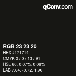 Color code: RGB 23 23 20 | qconv.com