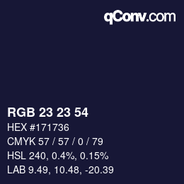 Color code: RGB 23 23 54 | qconv.com