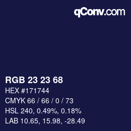 Color code: RGB 23 23 68 | qconv.com