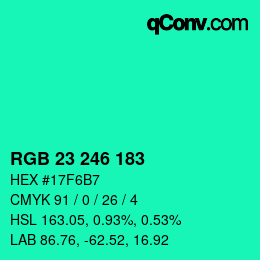 Color code: RGB 23 246 183 | qconv.com