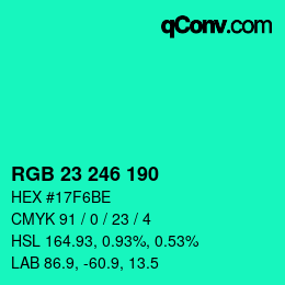 Color code: RGB 23 246 190 | qconv.com