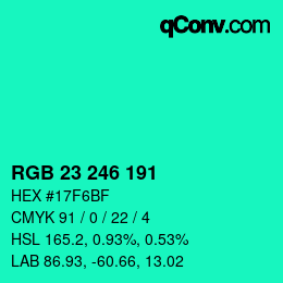 Color code: RGB 23 246 191 | qconv.com