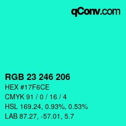 Color code: RGB 23 246 206 | qconv.com