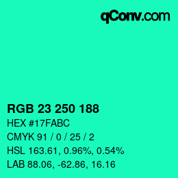 Color code: RGB 23 250 188 | qconv.com