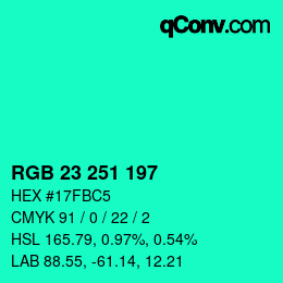 カラーコード: RGB 23 251 197 | qconv.com