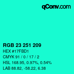 Color code: RGB 23 251 209 | qconv.com