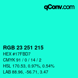 Color code: RGB 23 251 215 | qconv.com