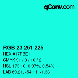 颜色代码: RGB 23 251 225 | qconv.com