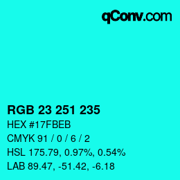 カラーコード: RGB 23 251 235 | qconv.com