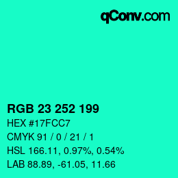 Color code: RGB 23 252 199 | qconv.com