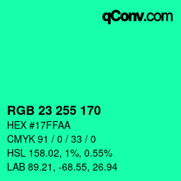 Color code: RGB 23 255 170 | qconv.com